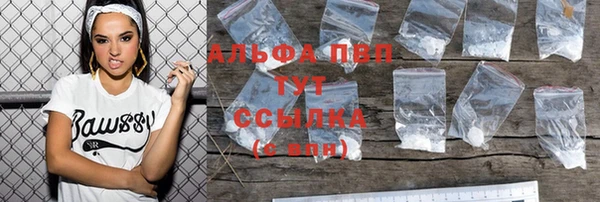 стафф Богородск