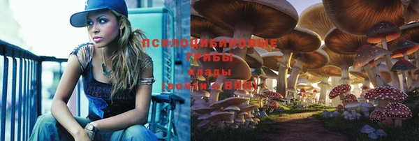 стафф Богородск