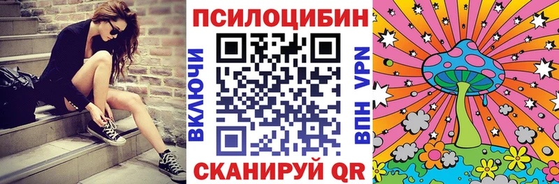 закладка  Мостовской  Галлюциногенные грибы прущие грибы 